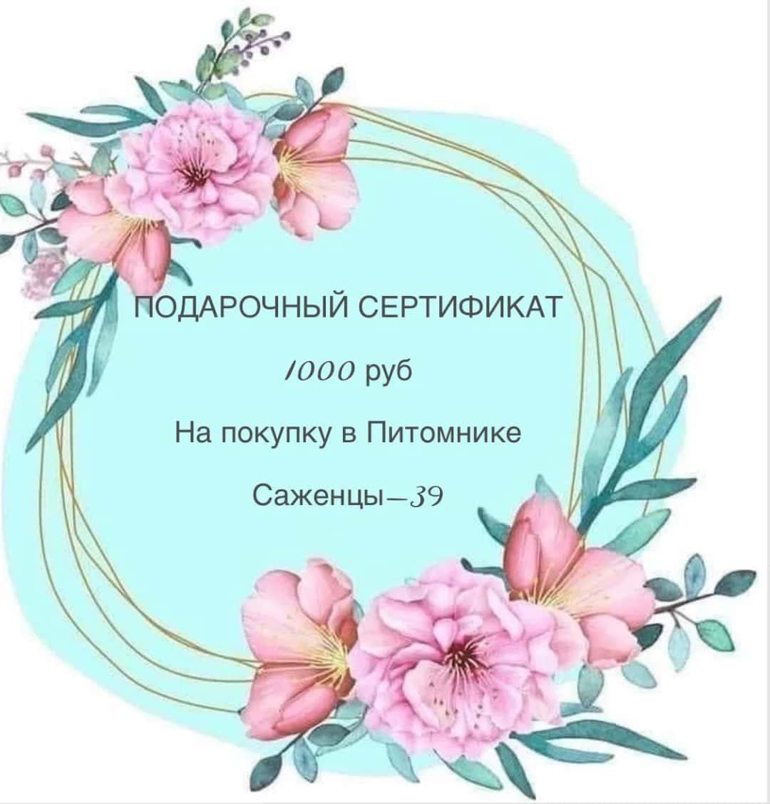 ПОДАРОЧНЫЙ СЕРТИФИКАТ