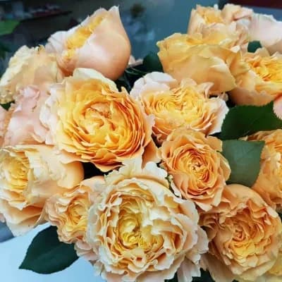 Фото 2