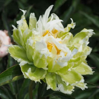 Фото 2