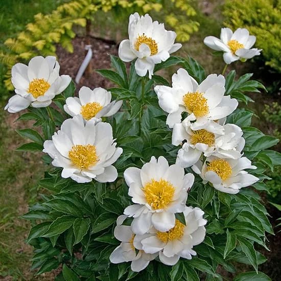 Фото 2