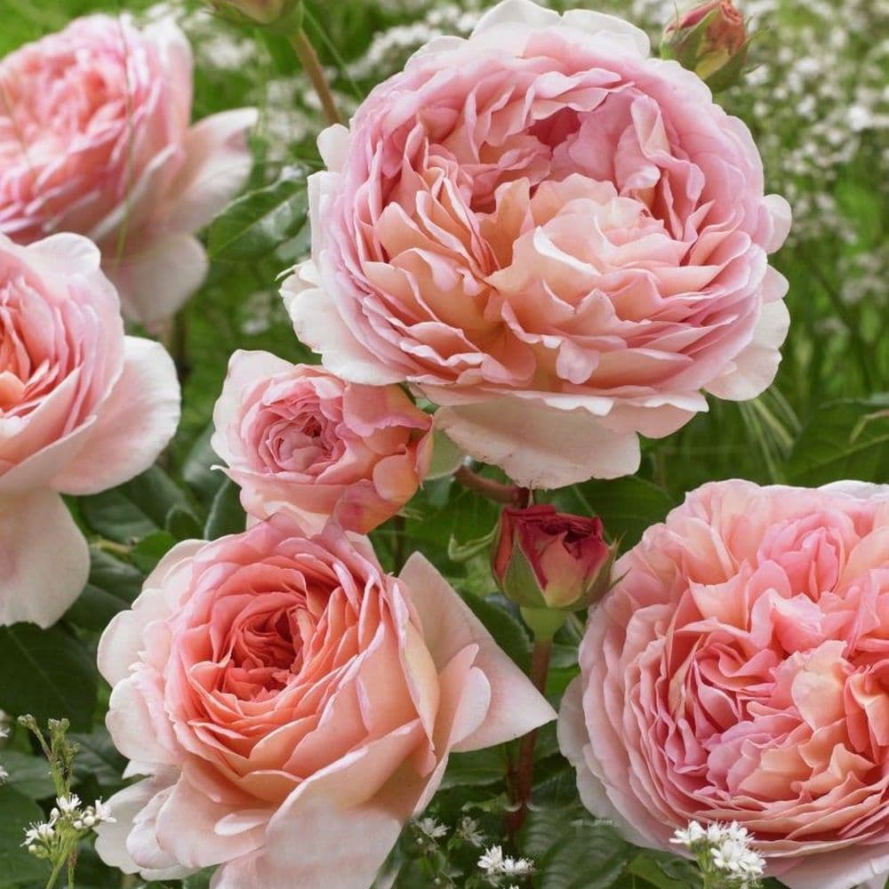 Фото 2