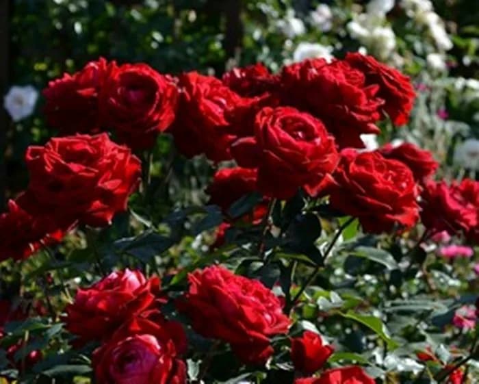 Фото 2