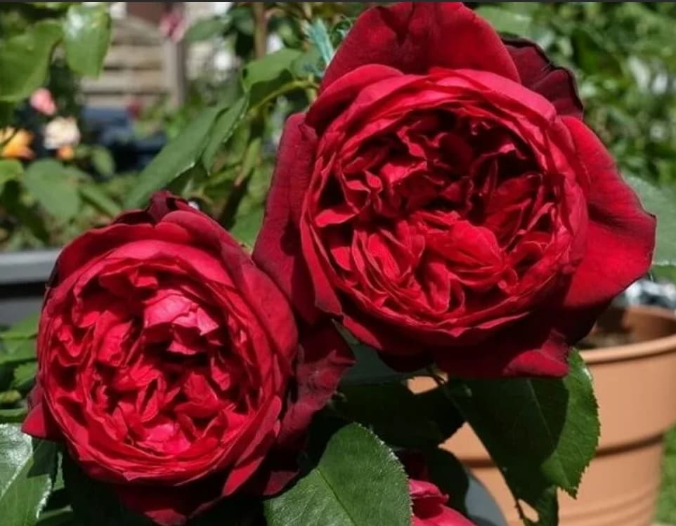 Фото 3