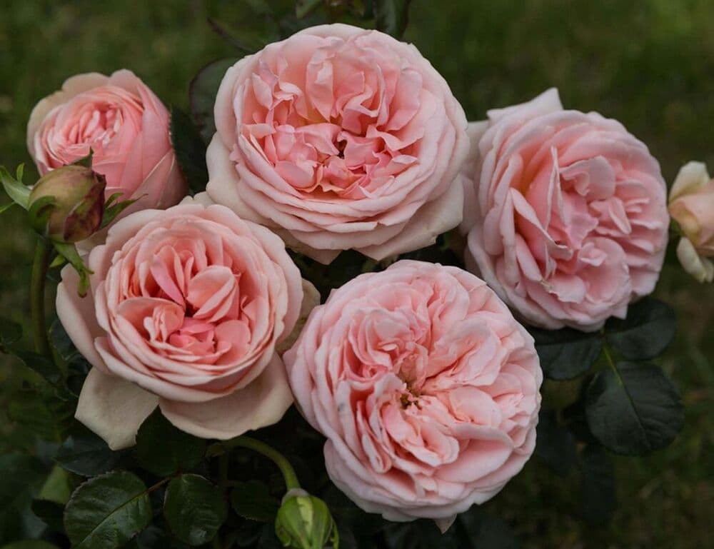 Фото 3