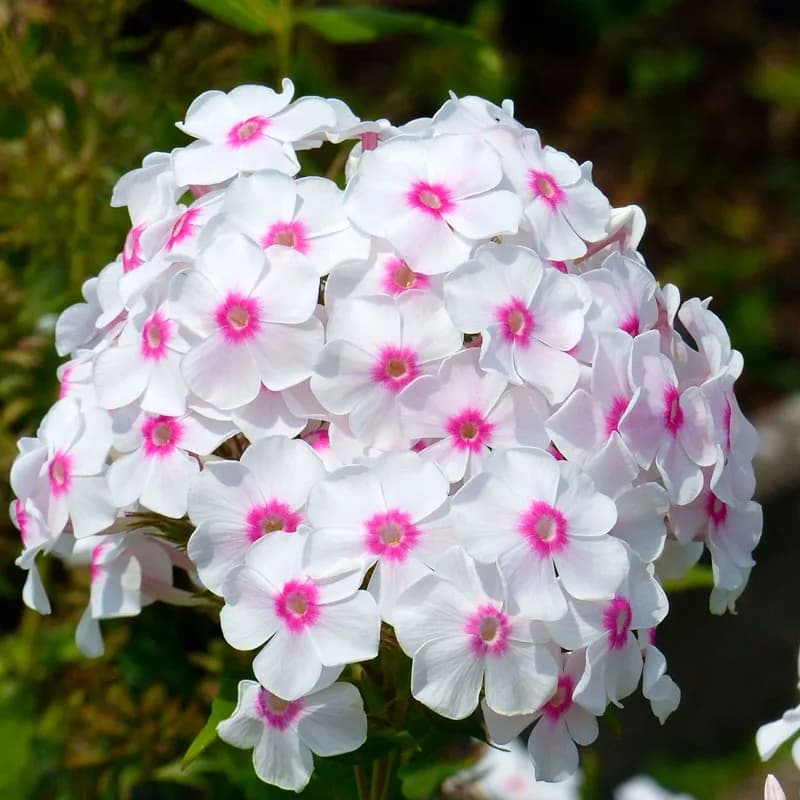 Фото 2