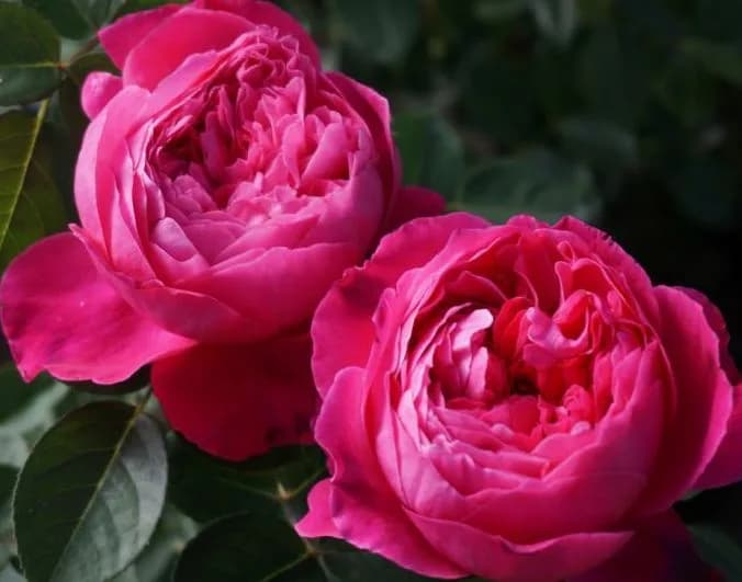 Фото 2