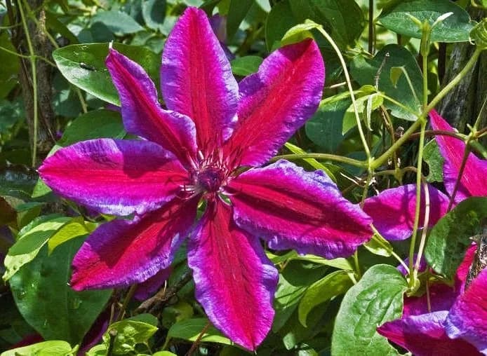 Фото 2