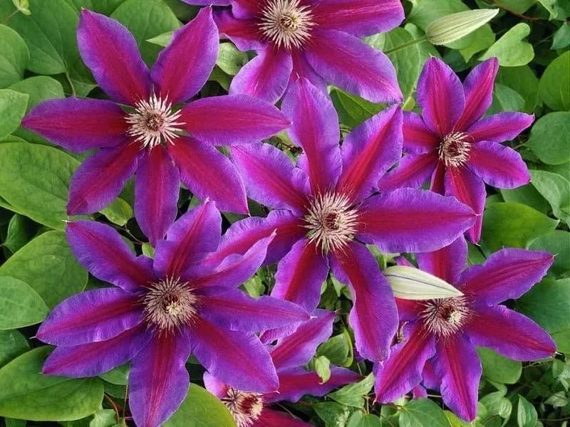 Фото 3