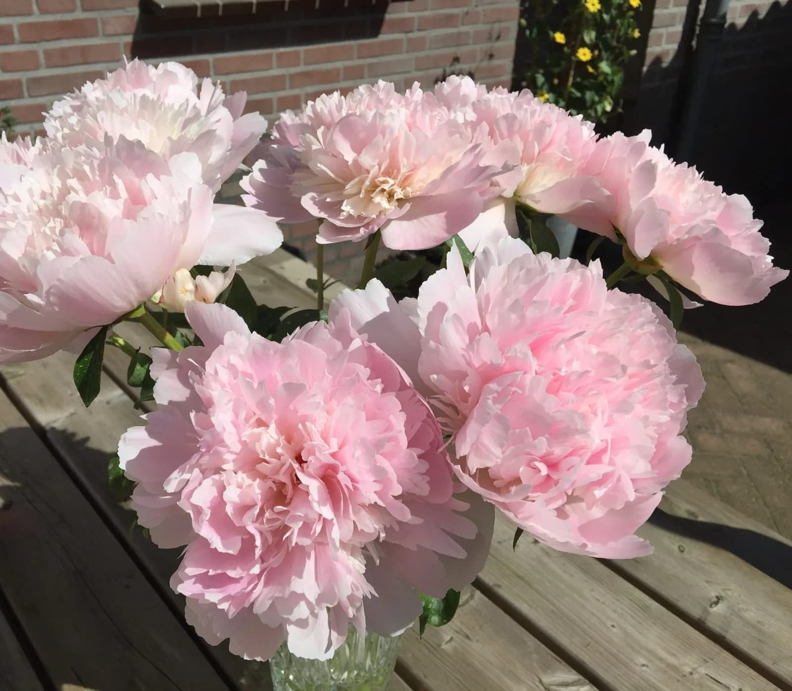 Фото 2