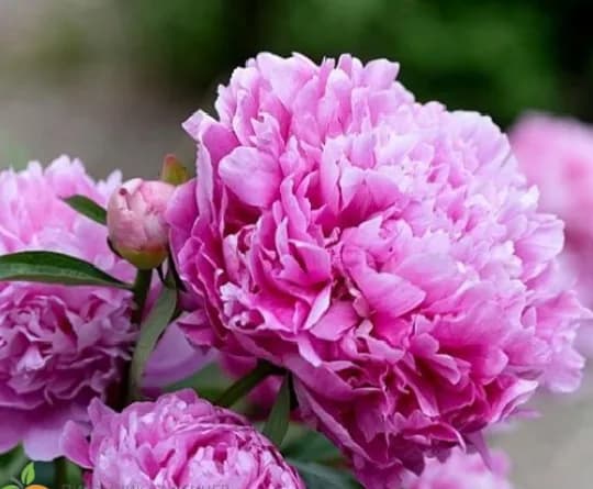 Фото 3