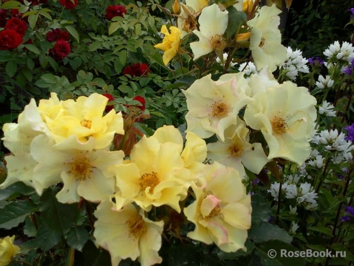 Фото 2