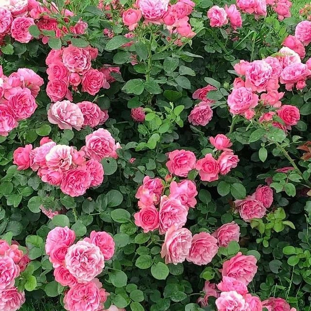 Фото 2