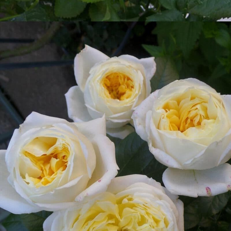 Фото 3