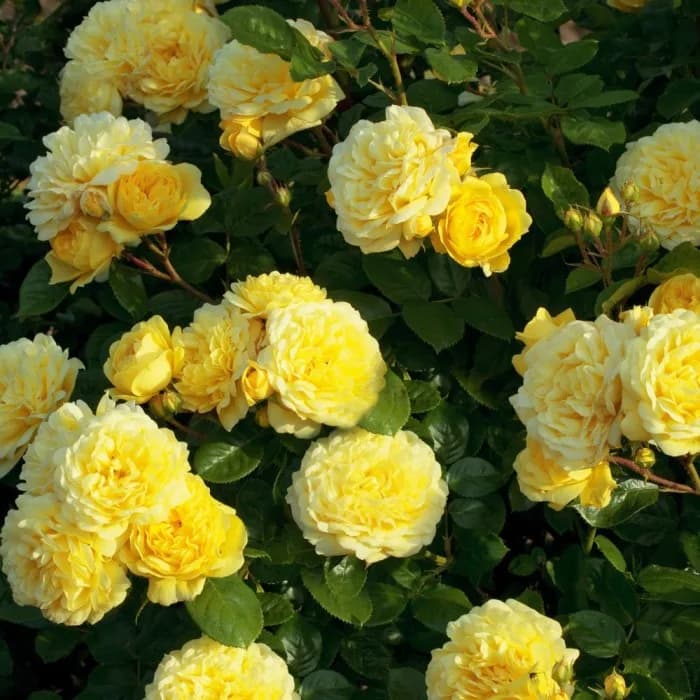 Фото 2