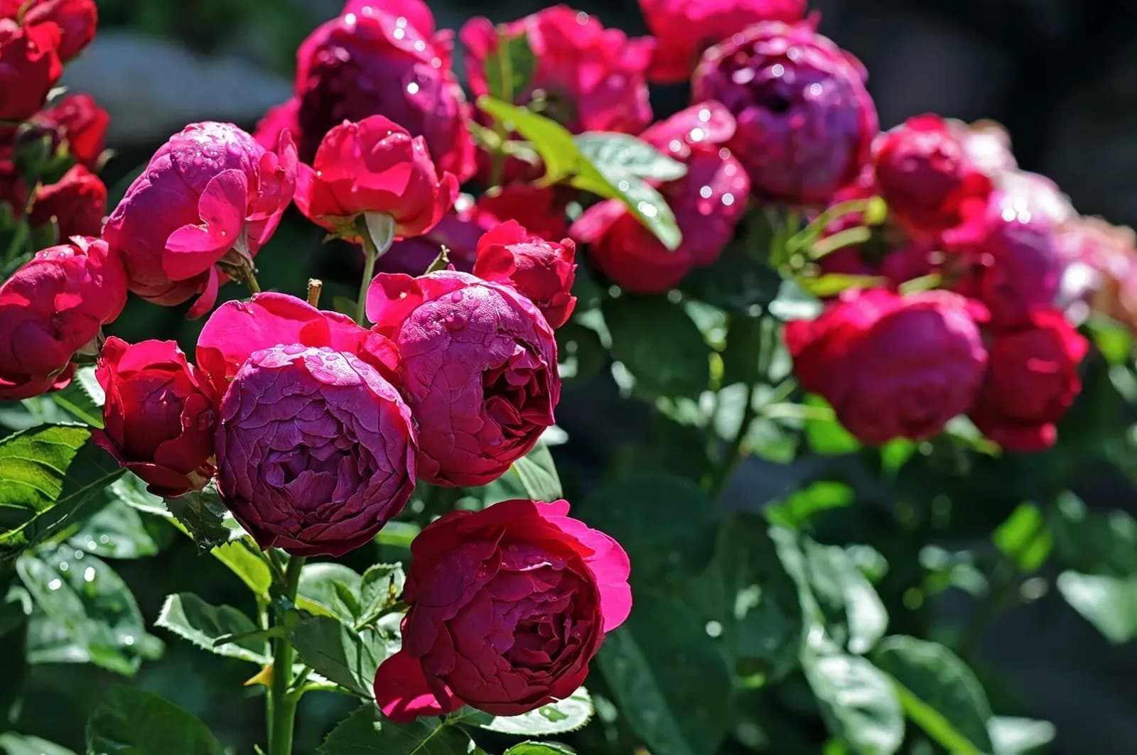 Фото 2