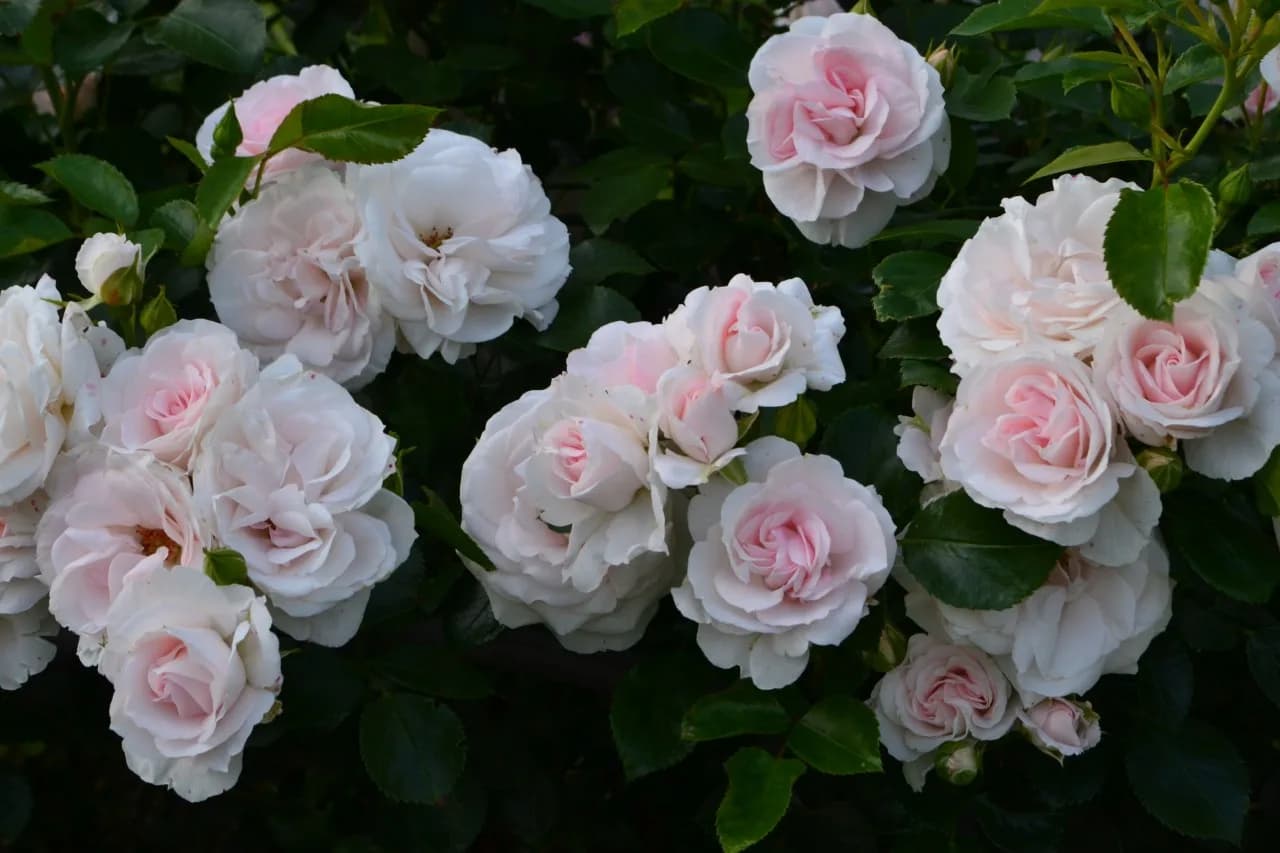 Фото 3