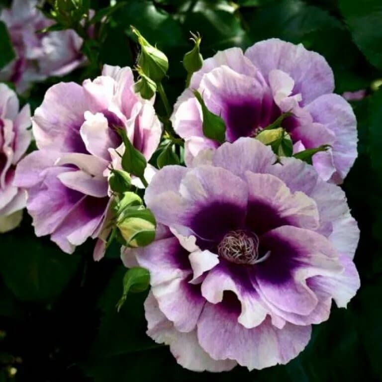 Фото 2