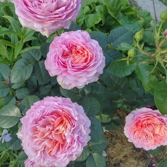 Фото 3