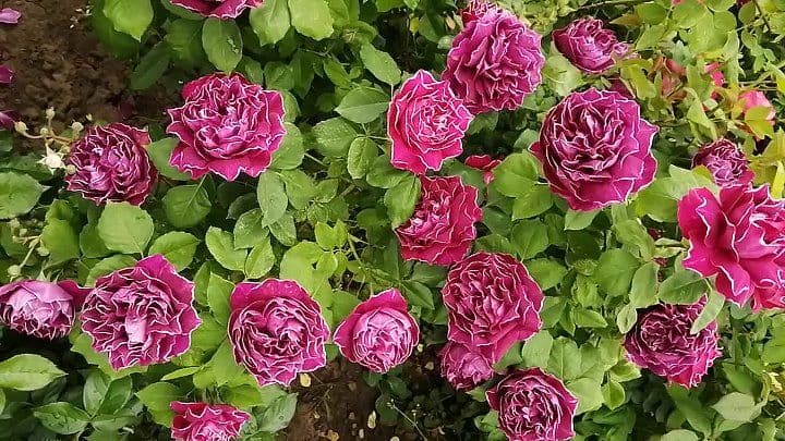 Фото 2