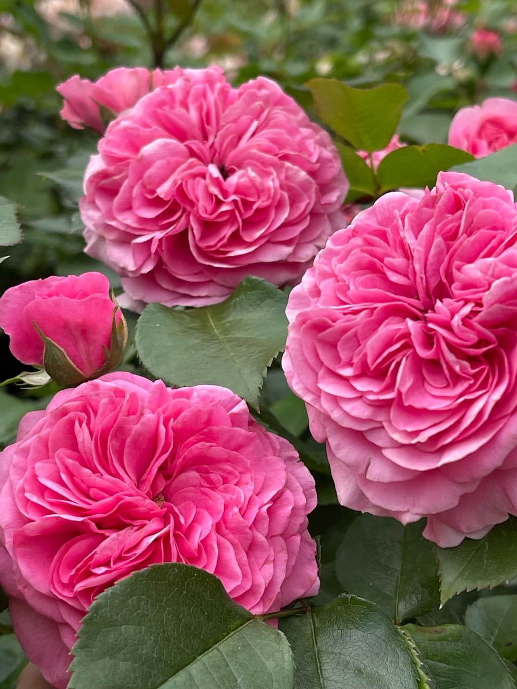 Фото 2