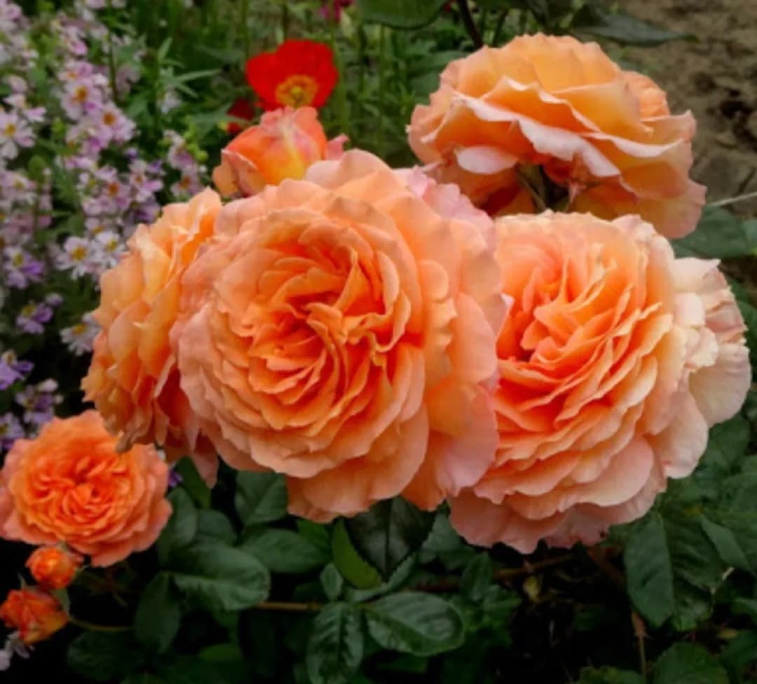 Фото 2