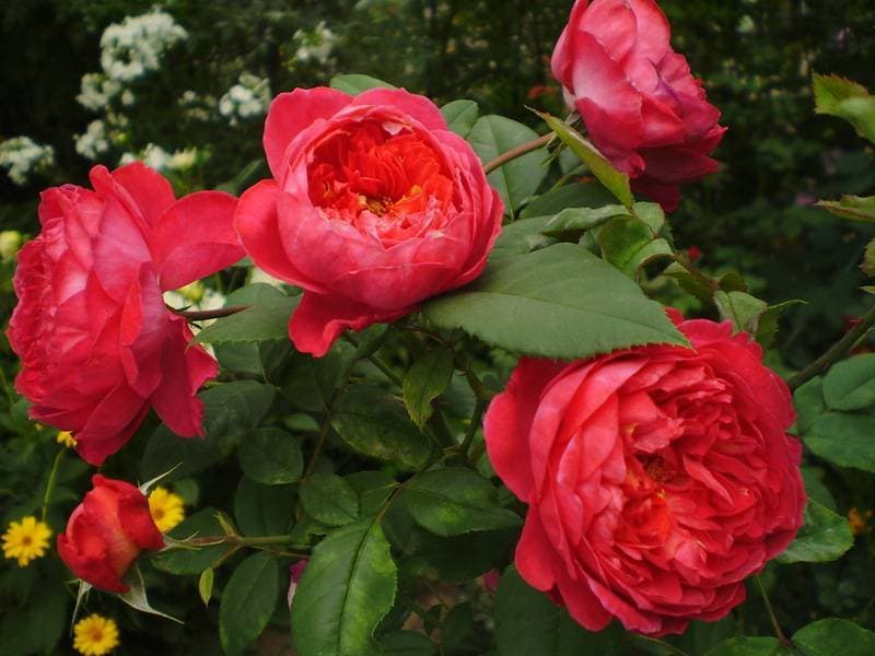 Фото 2