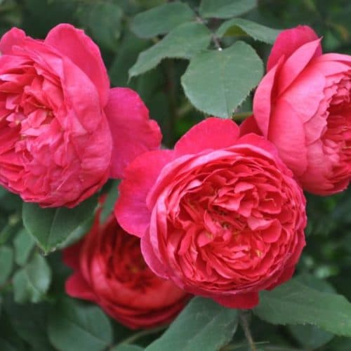 Фото 3