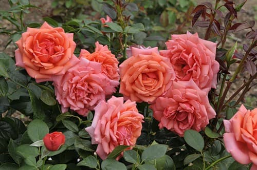 Фото 2