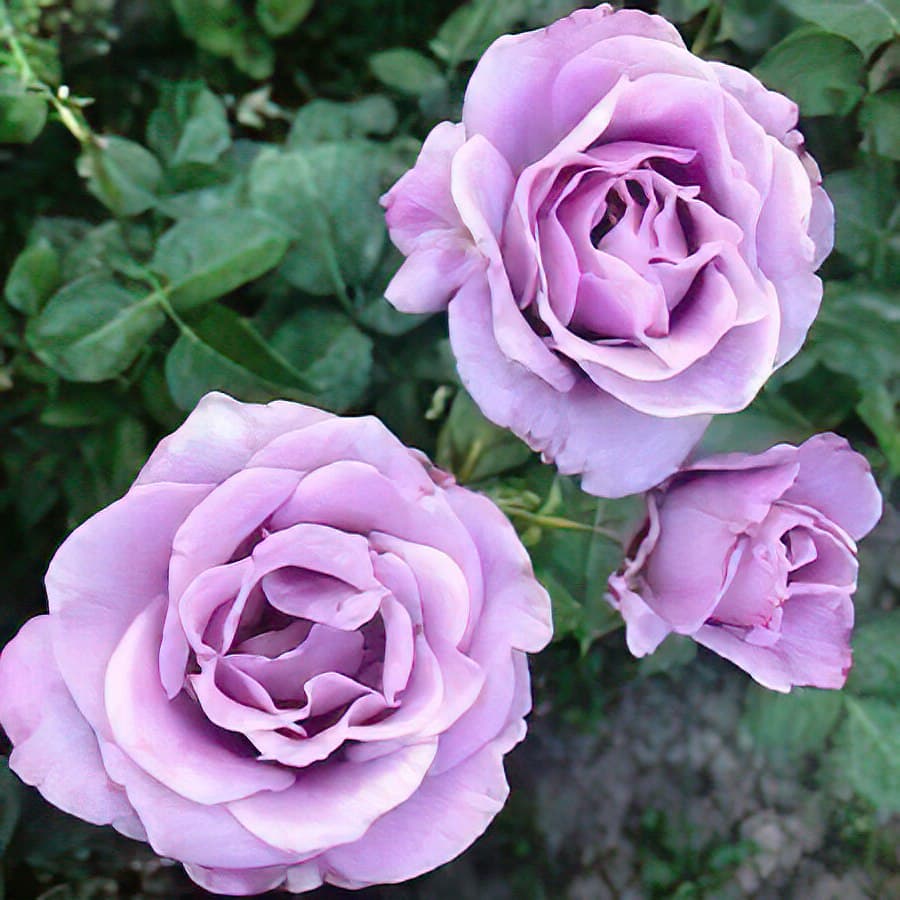Фото 2