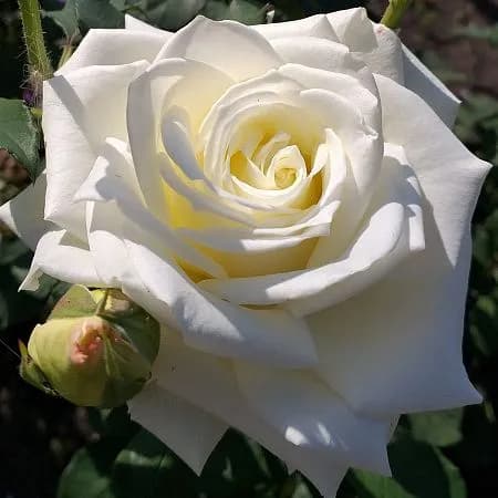Фото 2