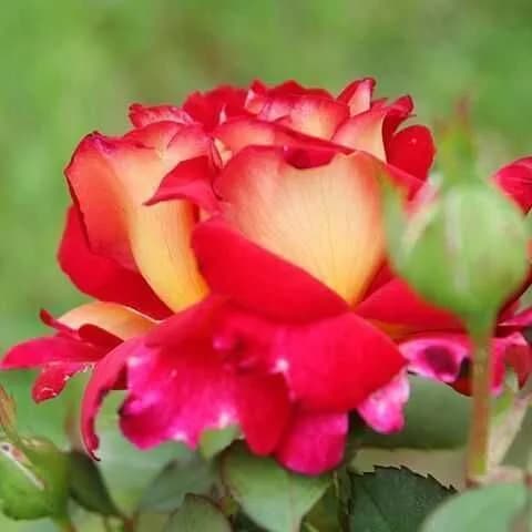 Фото 2
