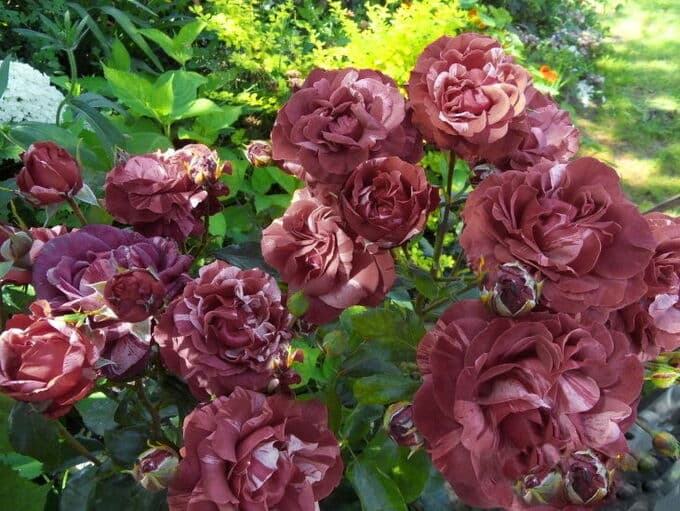 Фото 3