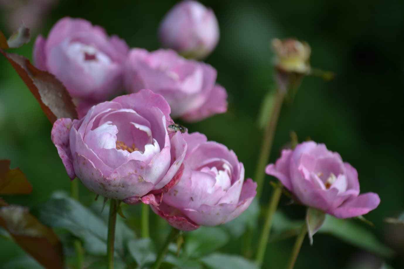 Фото 2