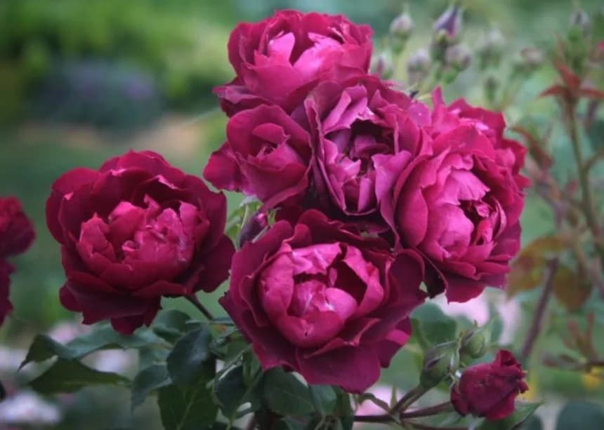 Фото 2