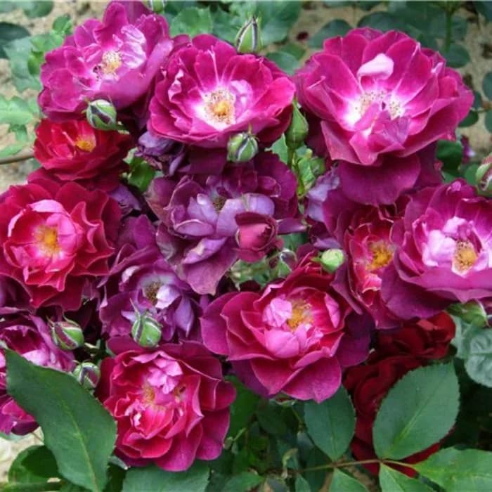 Фото 3