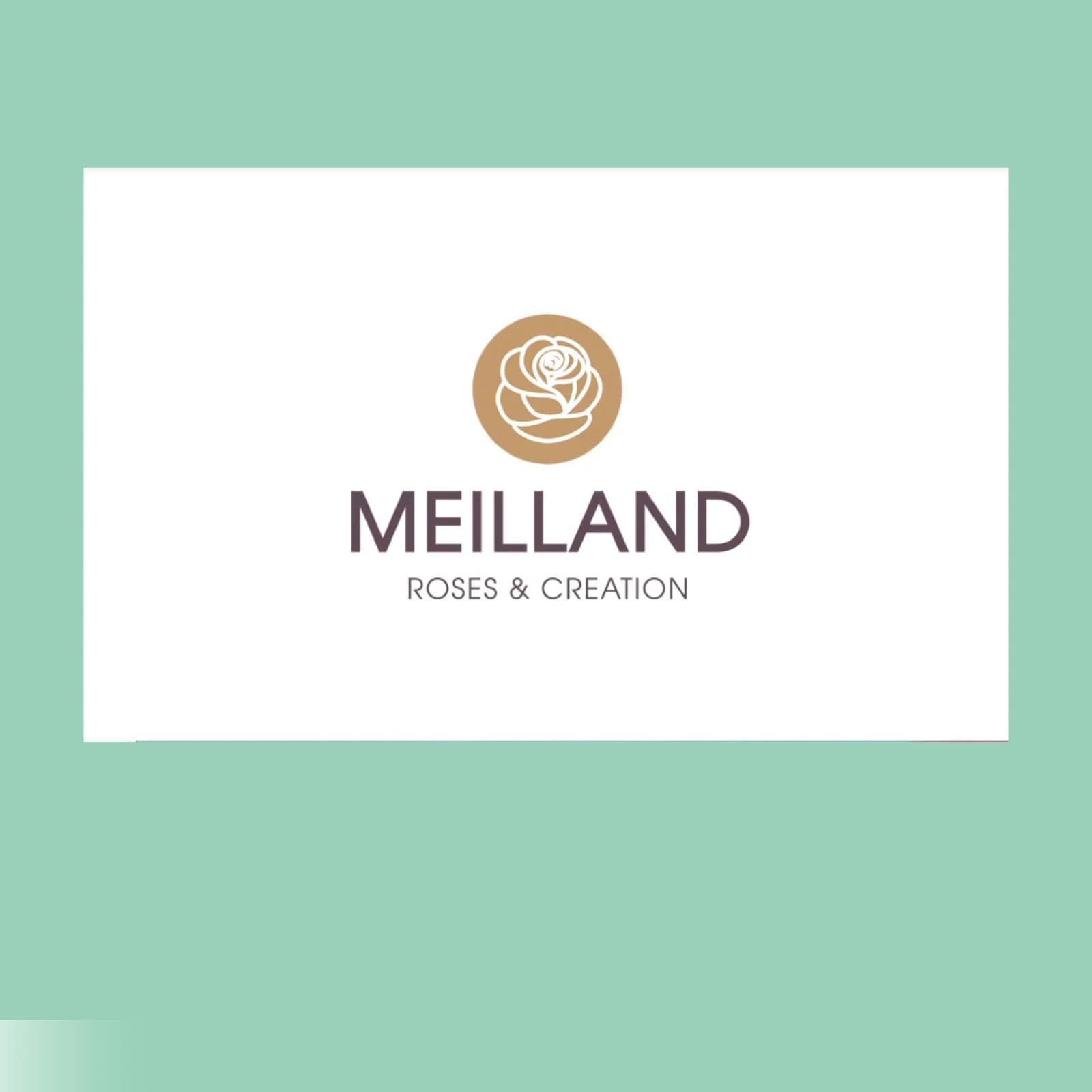 Meilland, Франция