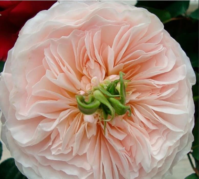 Фото 2