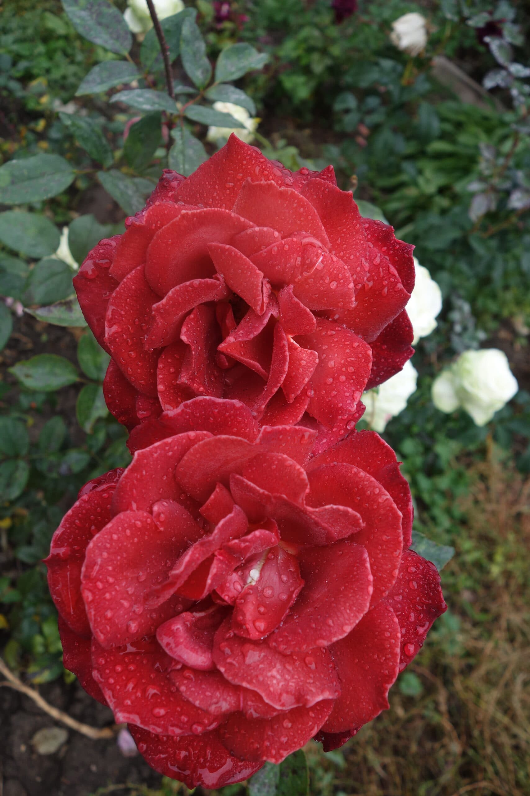 Фото 2