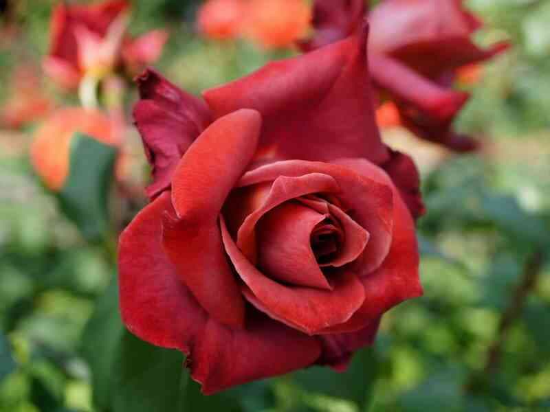 Фото 3