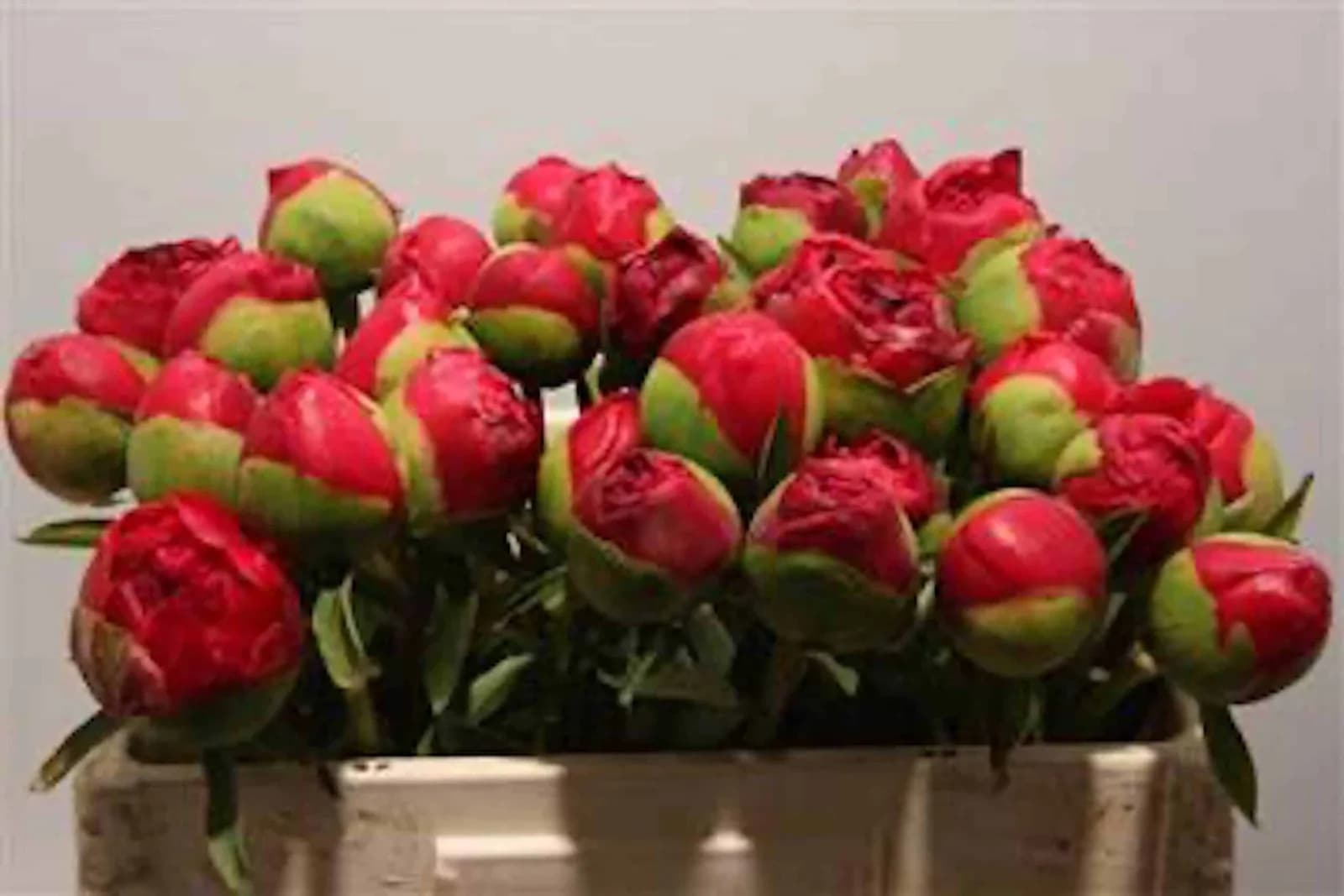 Фото 2