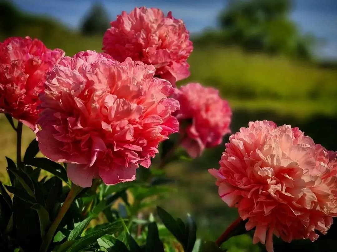 Фото 3