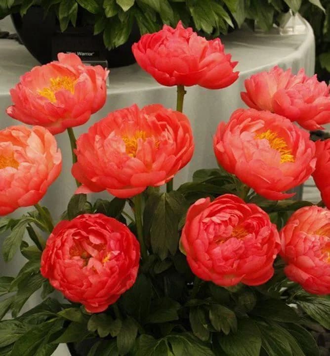 Фото 2