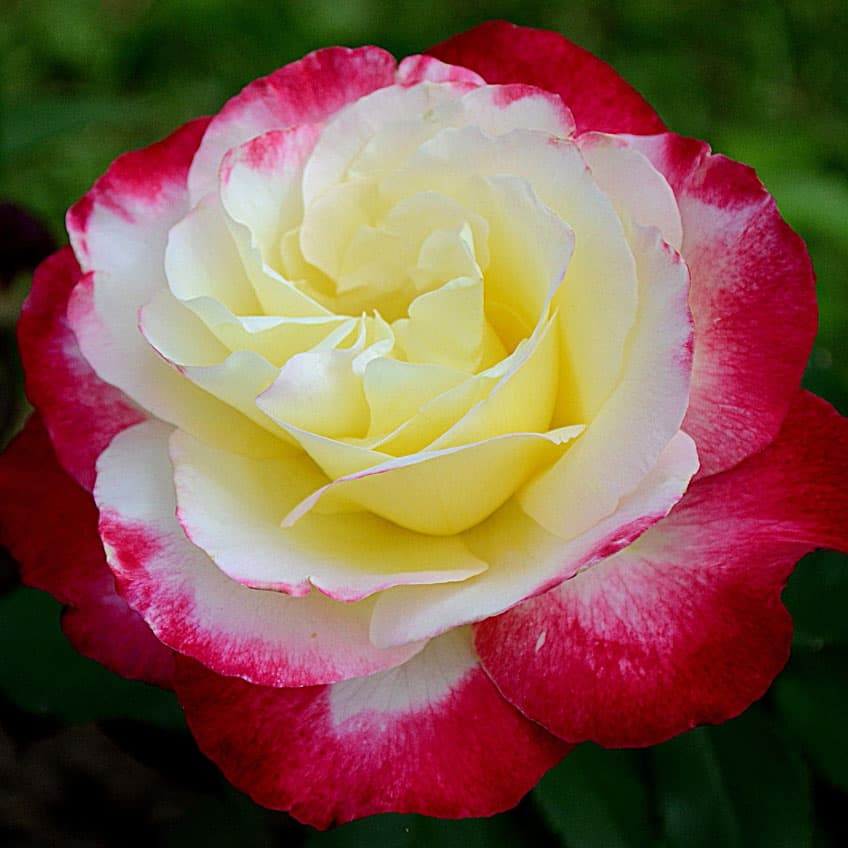 Фото 3
