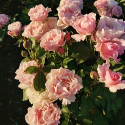 Фото 2
