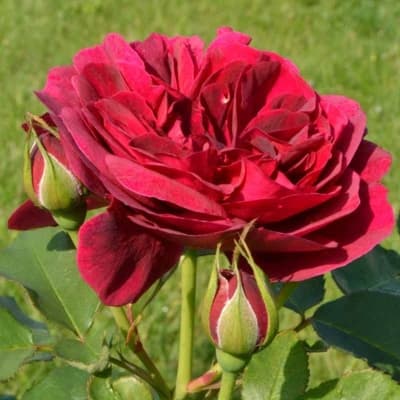 Фото 2