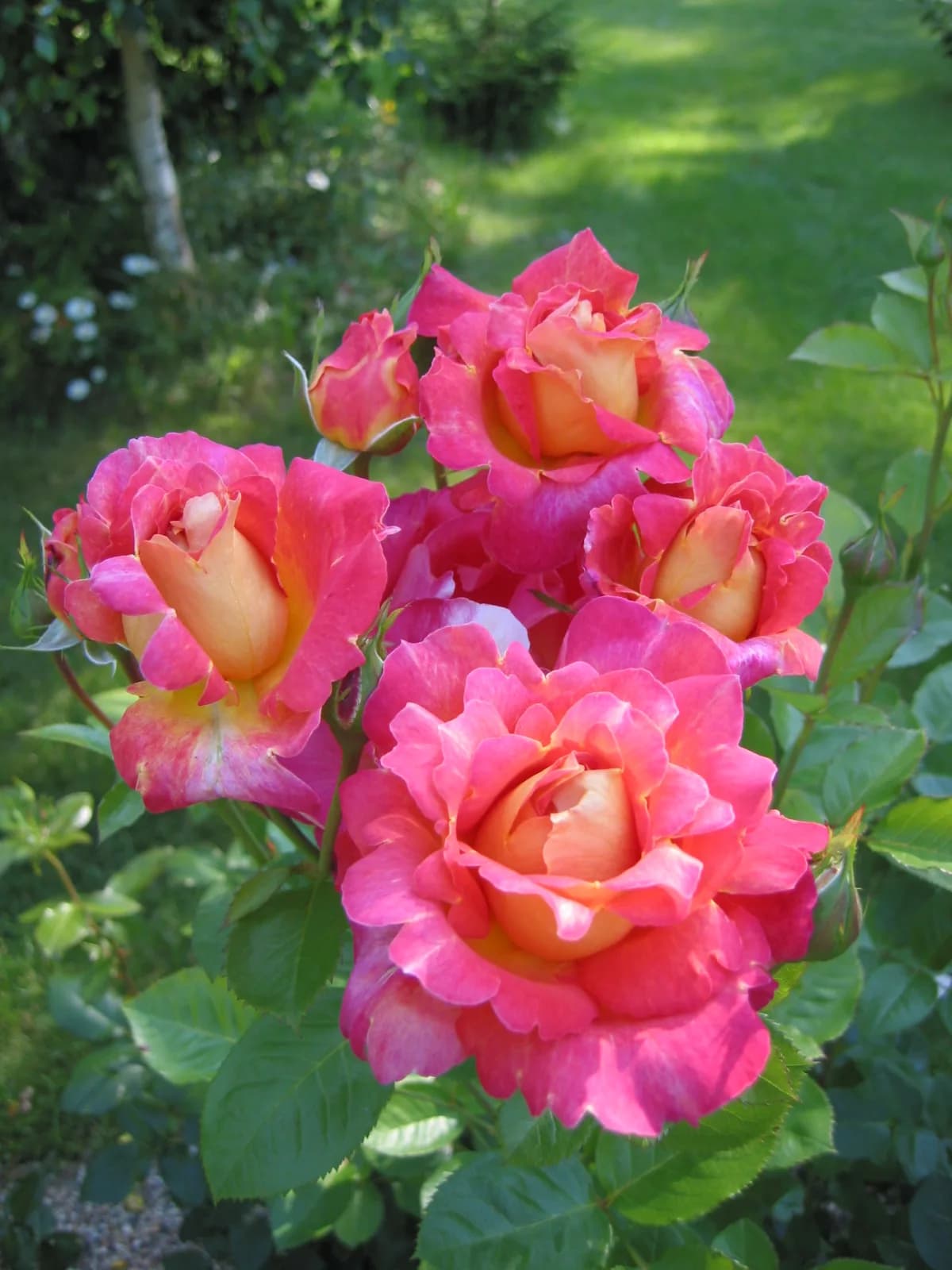 Фото 2