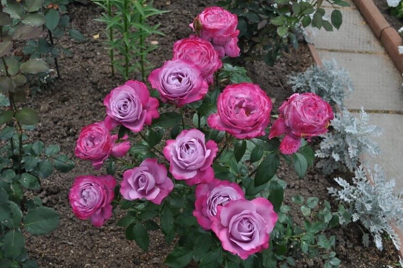 Фото 2