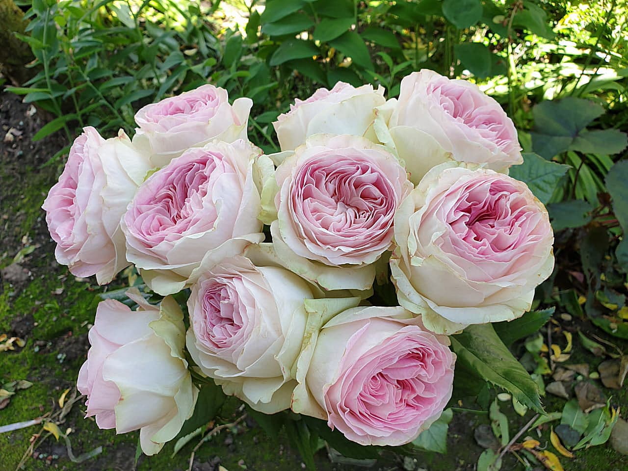 Фото 2