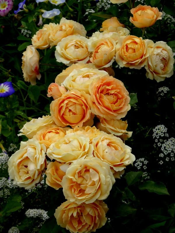 Фото 2