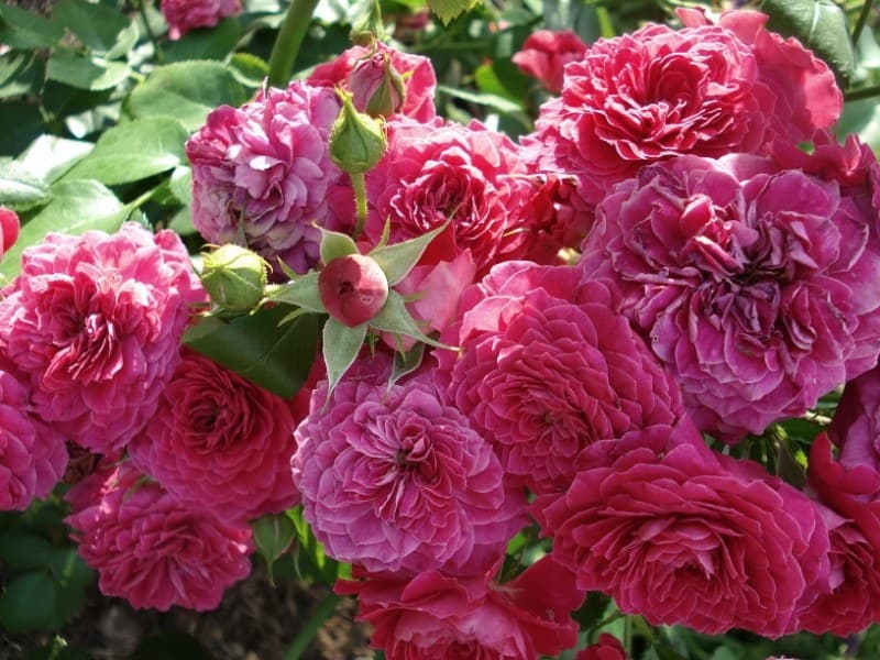 Фото 2
